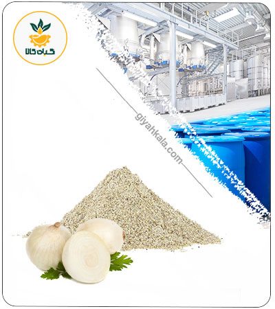 عصاره پیاز سفید خشک یا پودری
