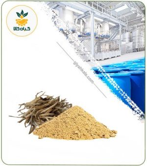 عصاره چای سفید خشک یا پودری