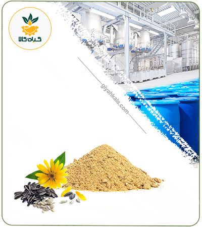 عصاره دانه آفتاب گردان خشک یا پودری