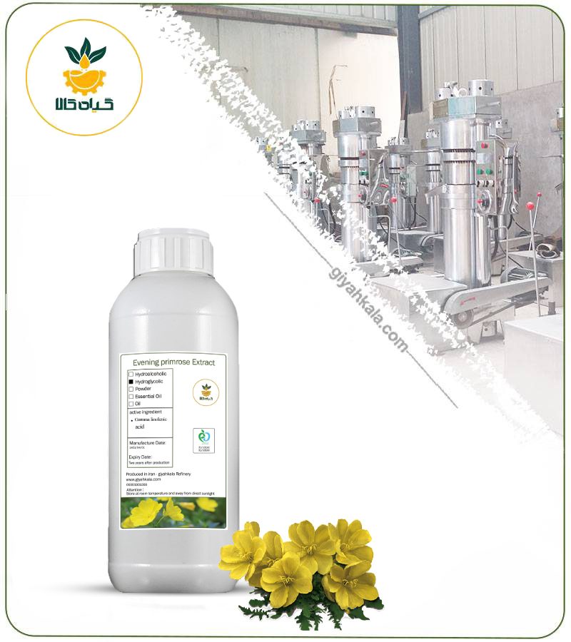 روغن گل مغربی