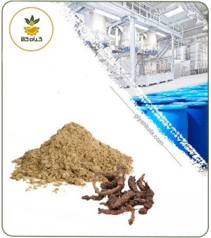 عصاره اسارون خشک (پودری)