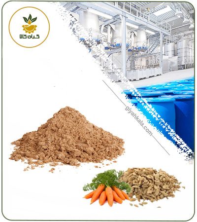 عصاره تخم هویج خشک
