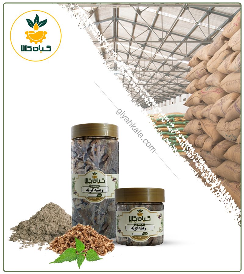 ریشه گزنه خشک یا پودری بسته بندی