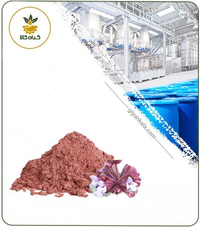 عصاره گل ارونه خشک یا پودری
