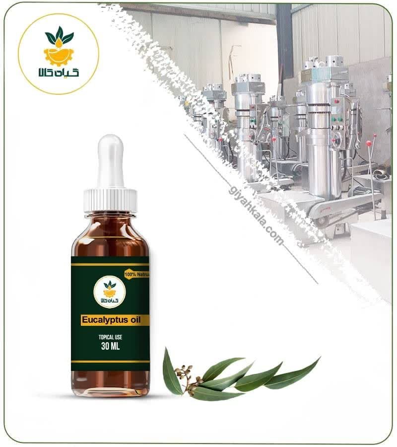 روغن اکالیپتوس موضعی