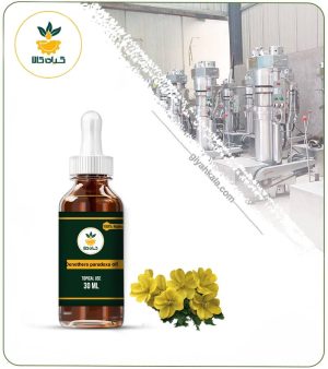 روغن گل مغربی موضعی
