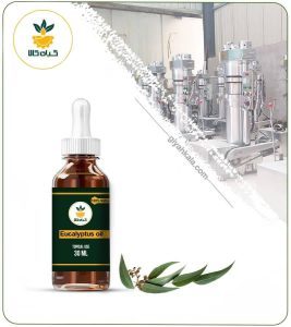 روغن اکالیپتوس مخصوص پوست صورت