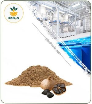 عصاره سیر سیاه خشک یا پودری