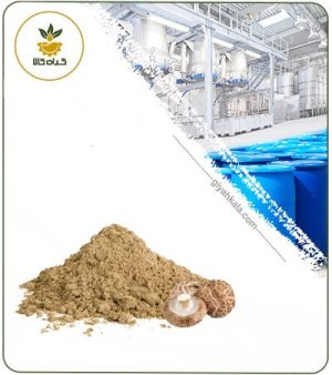 عصاره قارچ شیتاکه خشک یا پودری