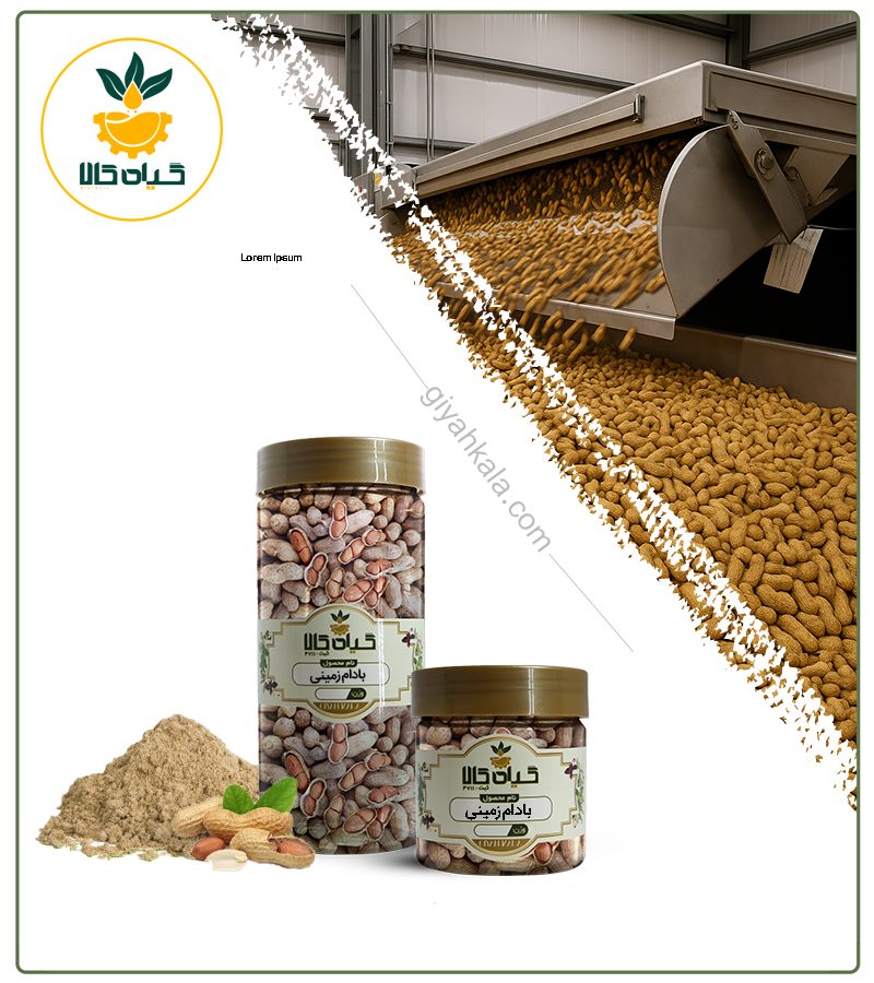 بادام زمینی بسته بندی