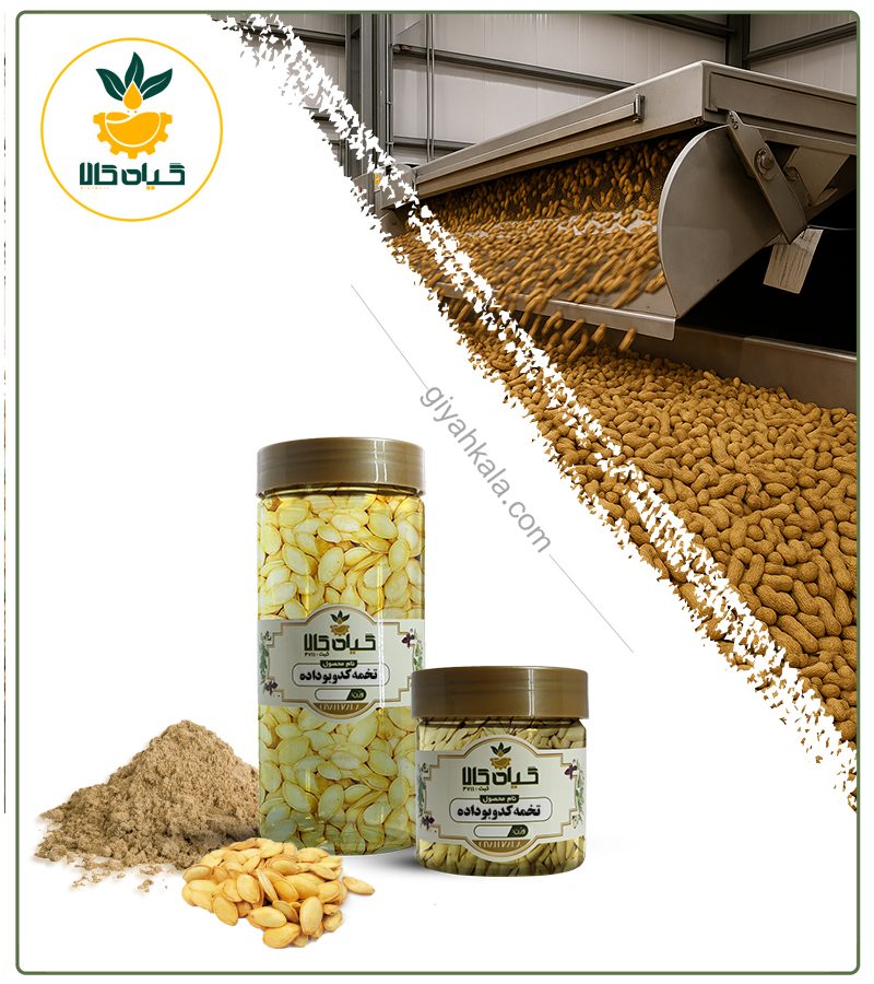تخمه کدو گوشتی بوداده بسته بندی