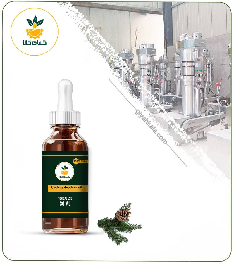 روغن چوب سدر موضعی