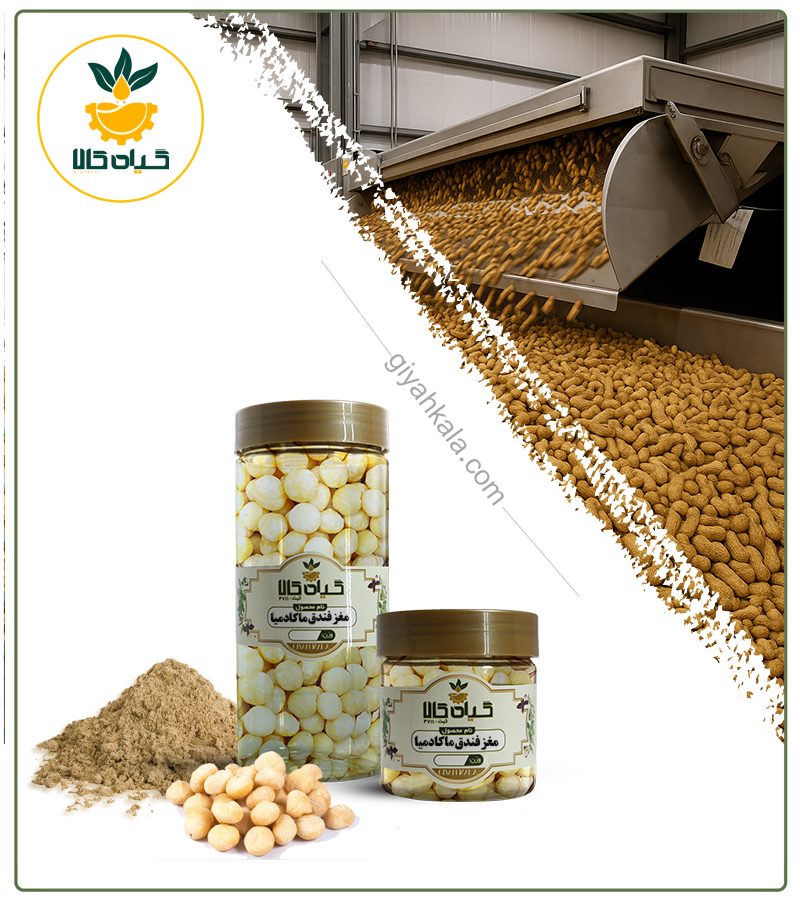 مغز فندق ماکادمیا خام بسته بندی