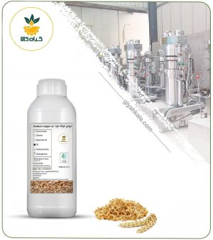 روغن جوانه جو