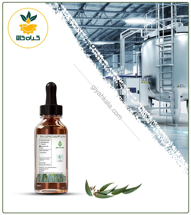 اسانس اکالیپتوس مخصوص آروماتراپی و یوگا