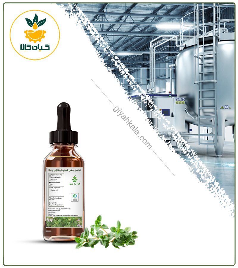 اسانس آویشن شیرازی مخصوص آروماتراپی و یوگا