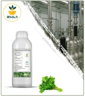 افشره گشنیز طبیعی مایع
