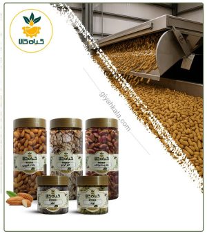 پک آجیل و خشکبار مخصوص دانش آموزان
