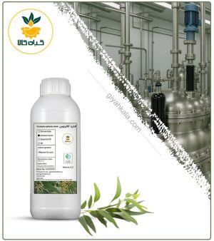 افشره اکالیپتوس طبیعی مایع