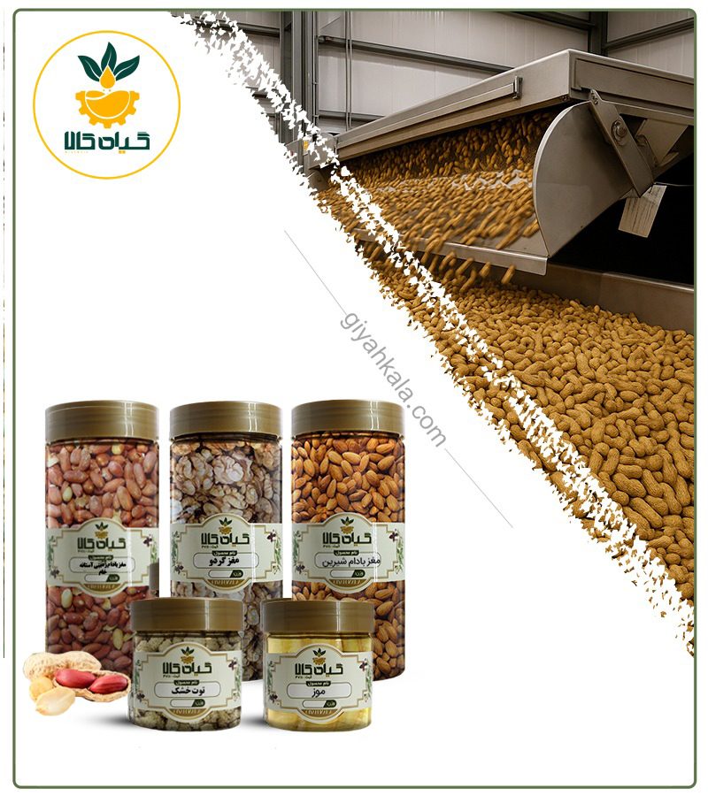 پک آجیل و خشکبار انرژی‌زا مخصوص ورزشکاران