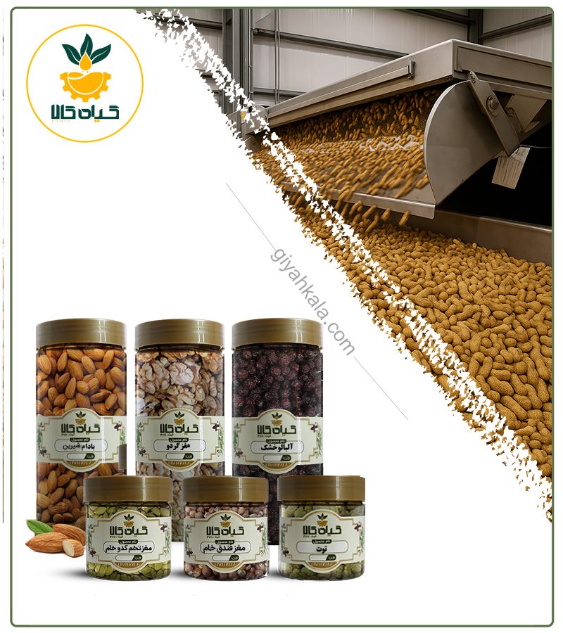 پک آجیل و خشکبار کنترل قند مخصوص افراد دیابتی