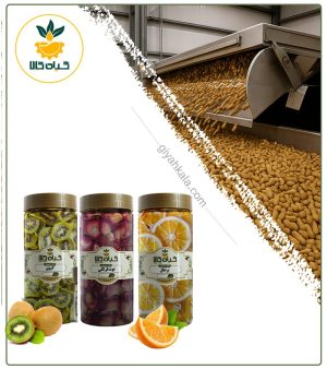 پک میوه خشک ملس