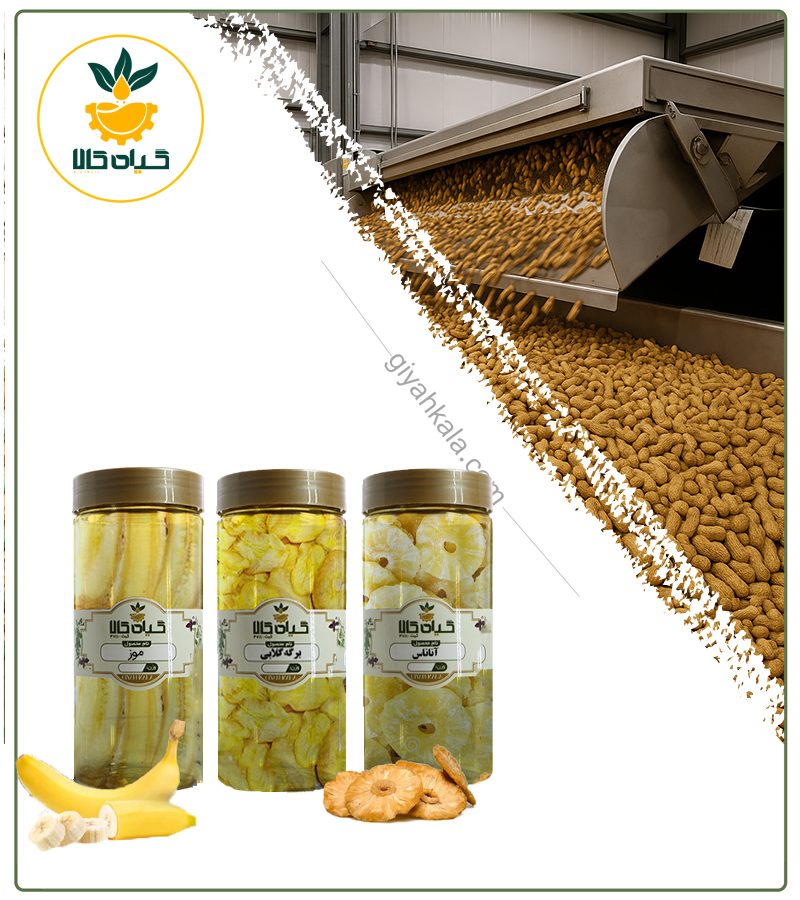 پک میوه خشک