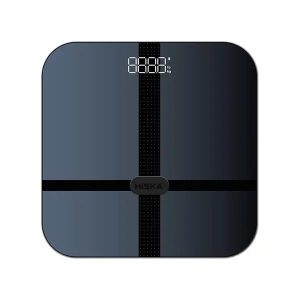 ترازو مدل HS 4000 برند هیسکا (HISKA)