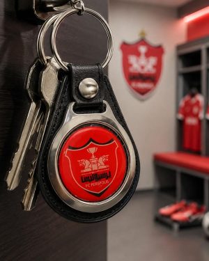 جاسوئیچی مدل پرسپولیس 6210